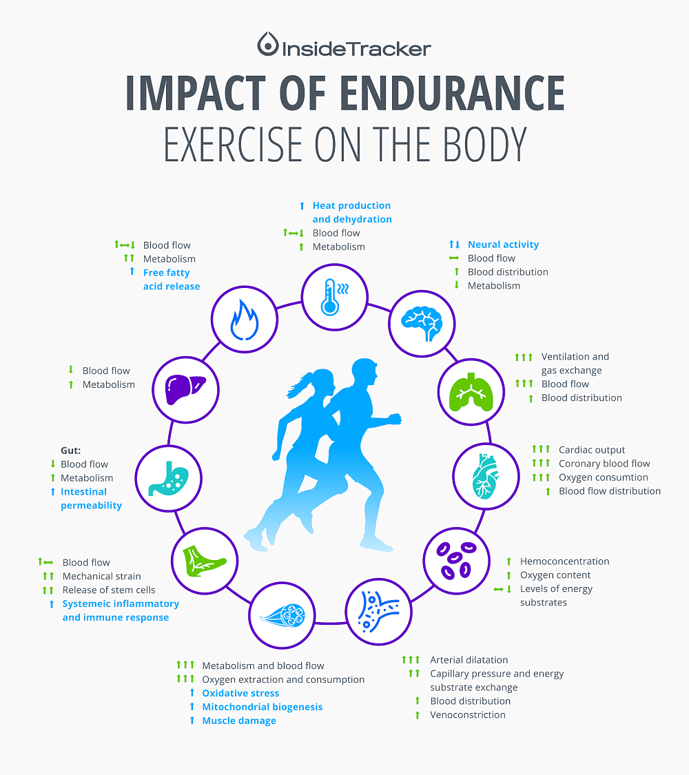 Gut health and exercise performance